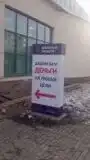 Стелла