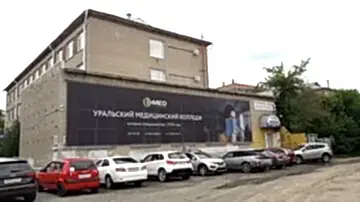 сетка